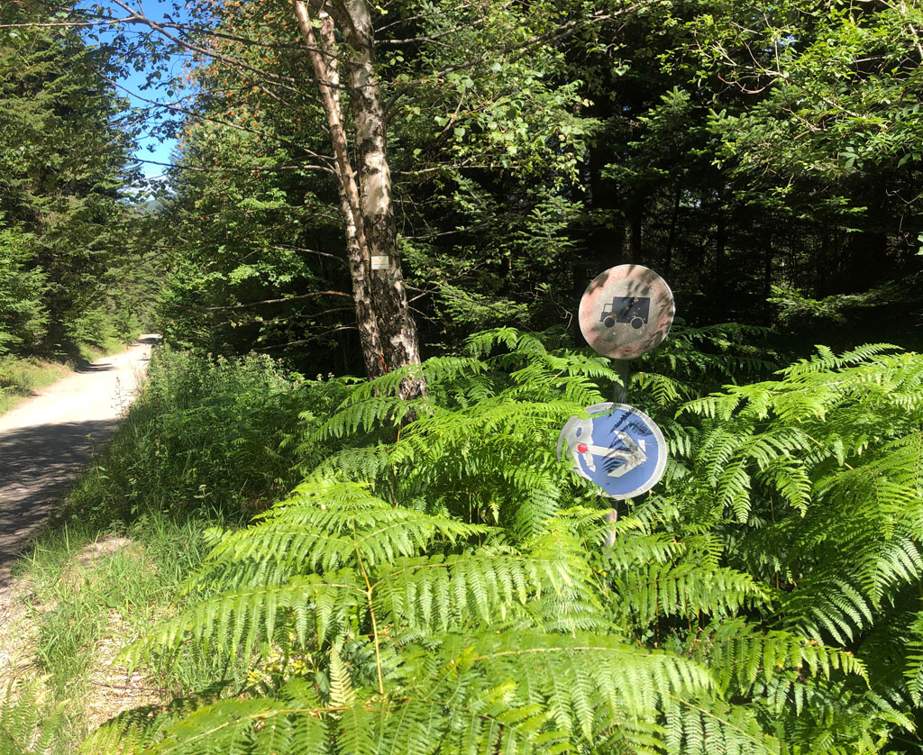 2022 07 13 giromagny img3