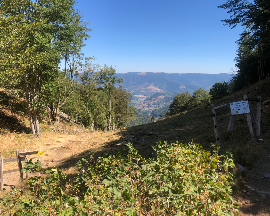2022 08 10 rimbach img10