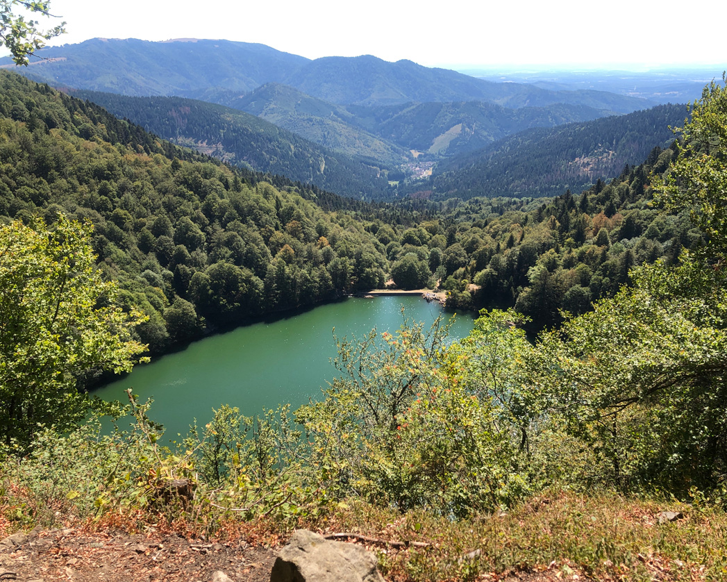 2022 08 10 rimbach img14