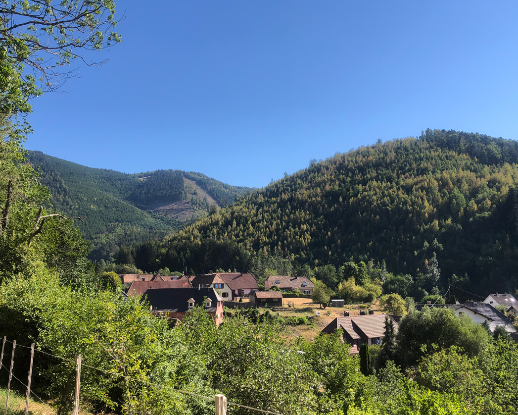2022 08 10 rimbach img2