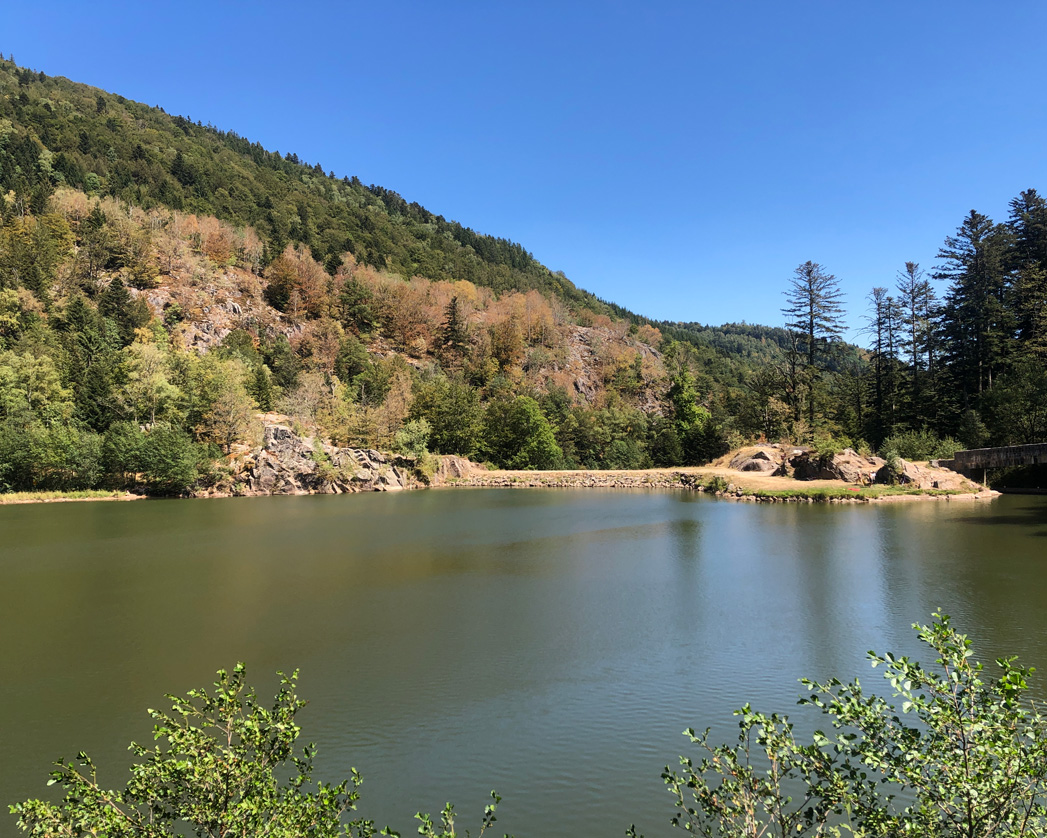 2022 08 10 rimbach img21