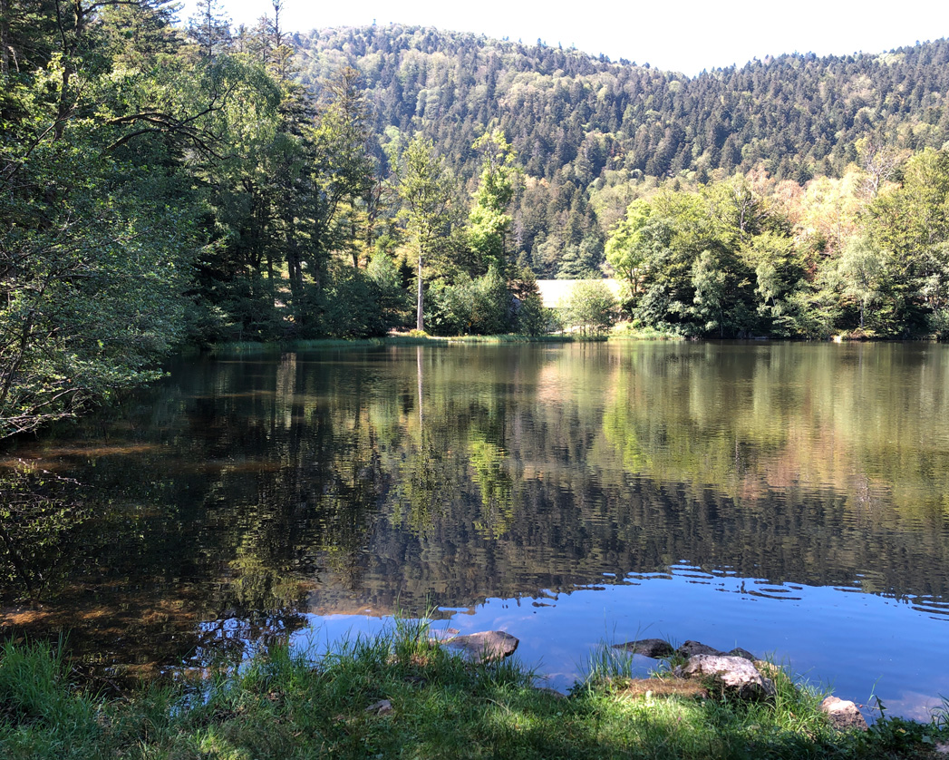 2022 08 10 rimbach img23