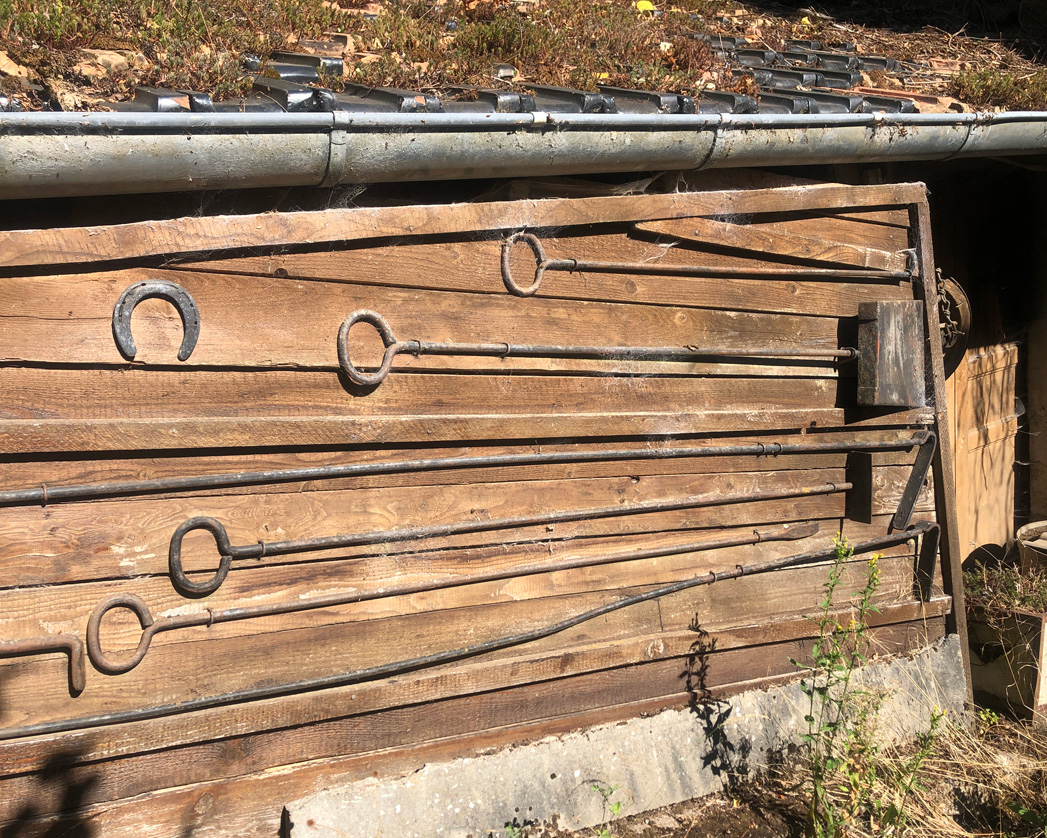2022 08 10 rimbach img3
