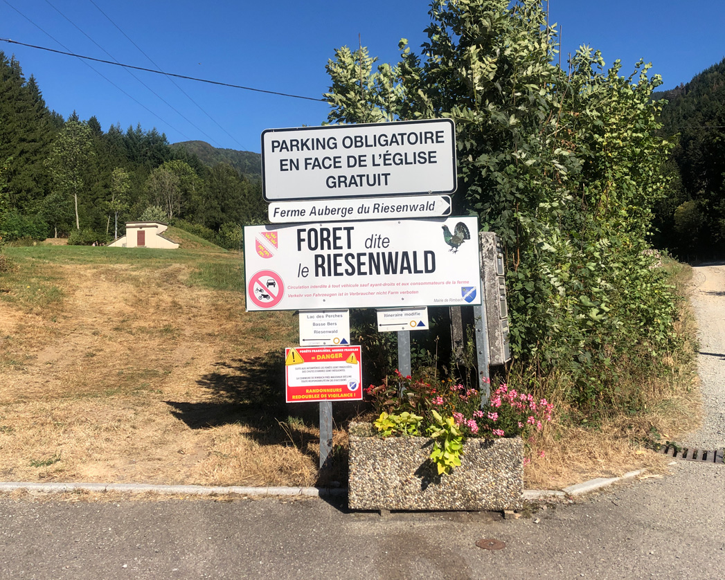 2022 08 10 rimbach img4