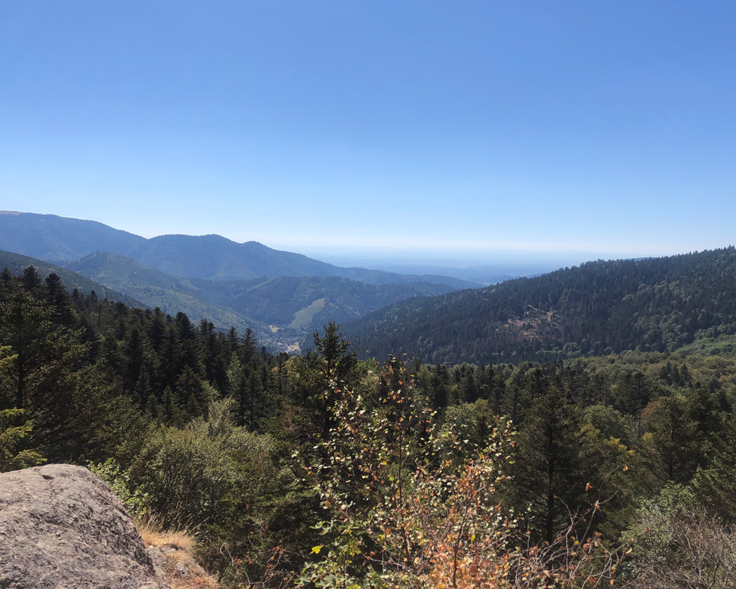 2022 08 10 rimbach img5