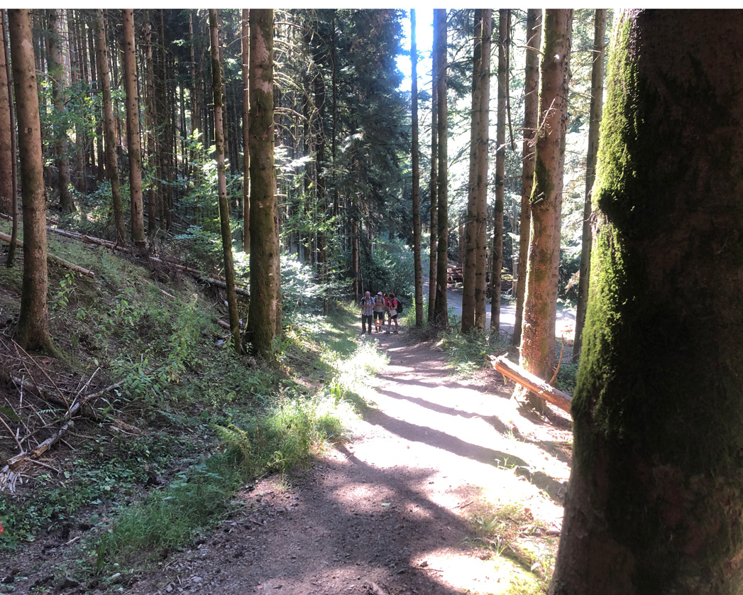 2022 08 10 rimbach img6