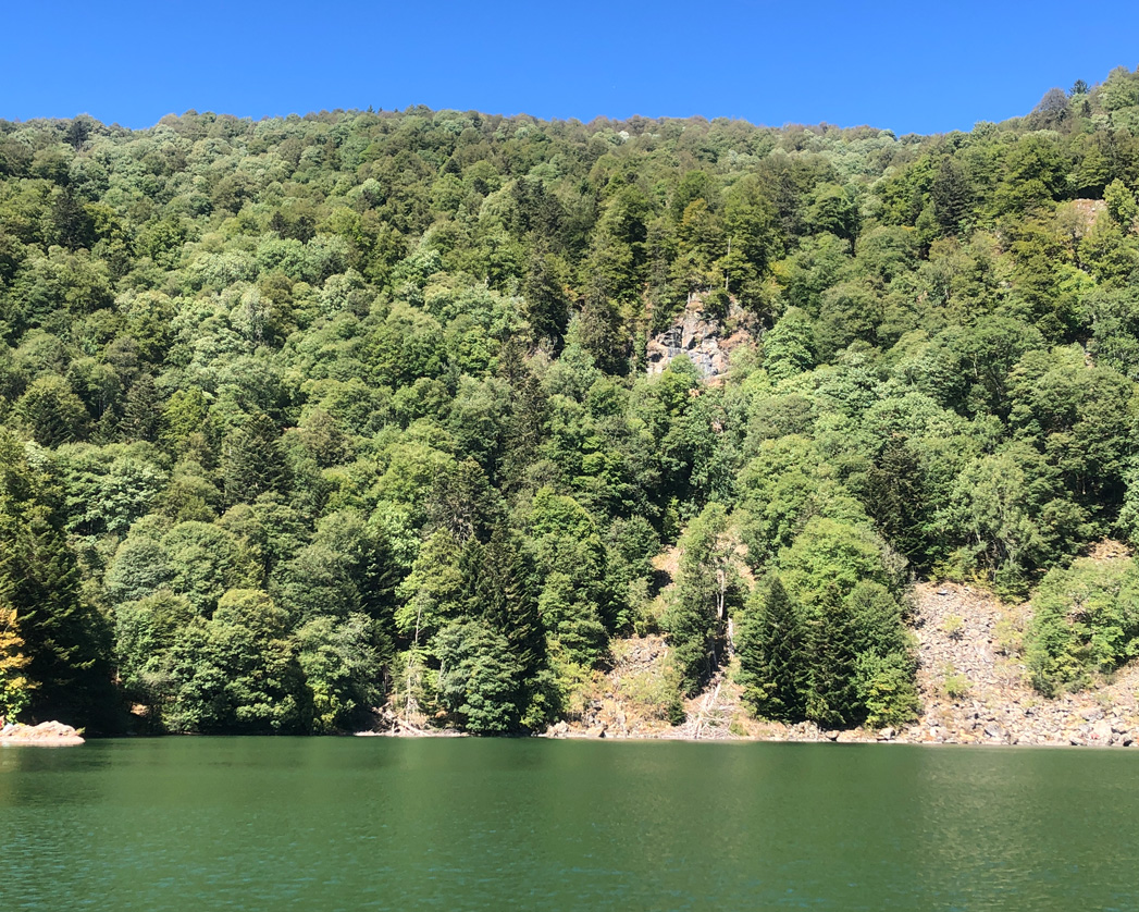2022 08 10 rimbach img9