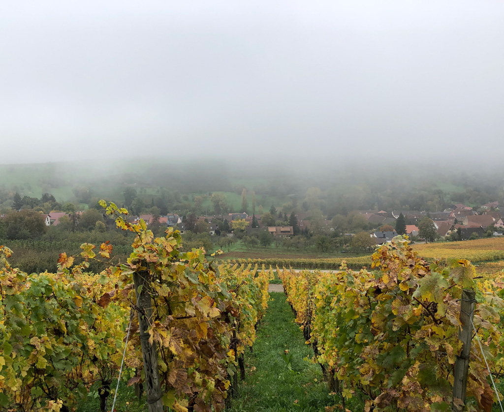 2022 10 19 mullheim brouillard