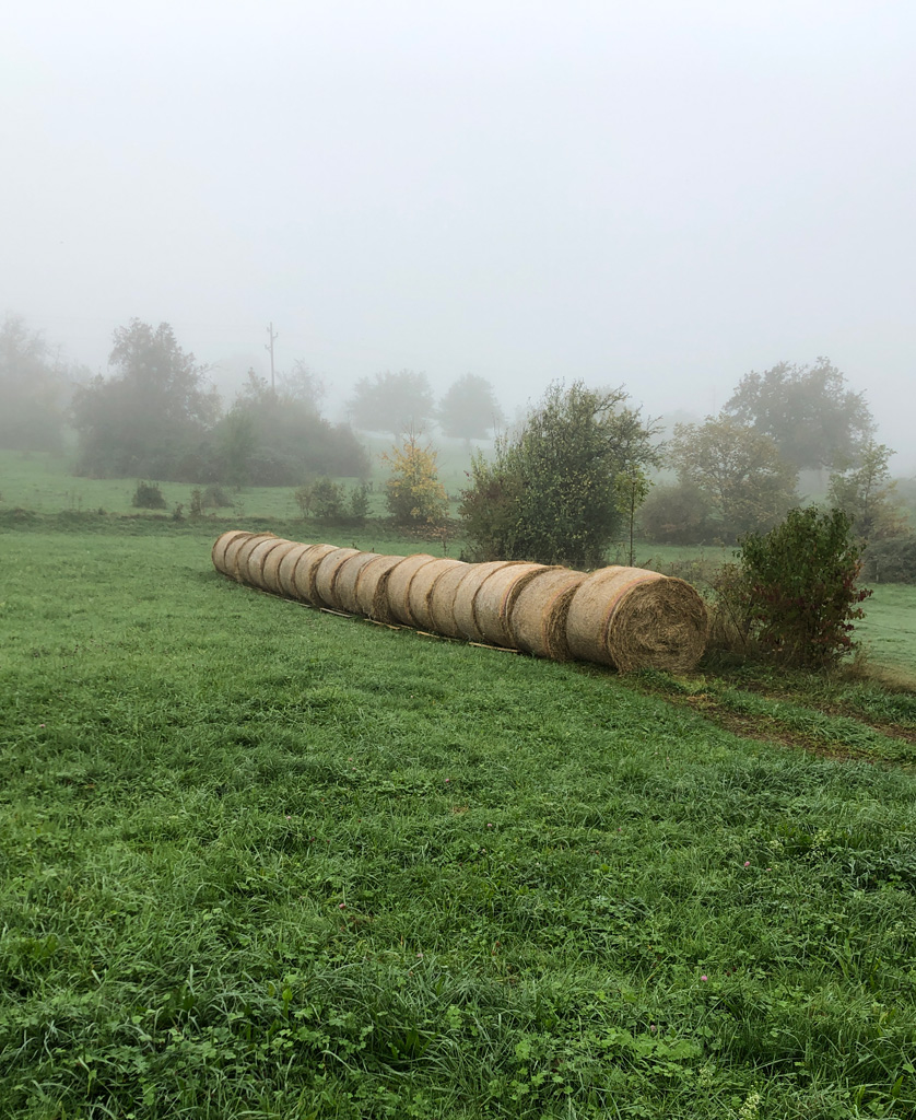2022 10 19 mullheim img1