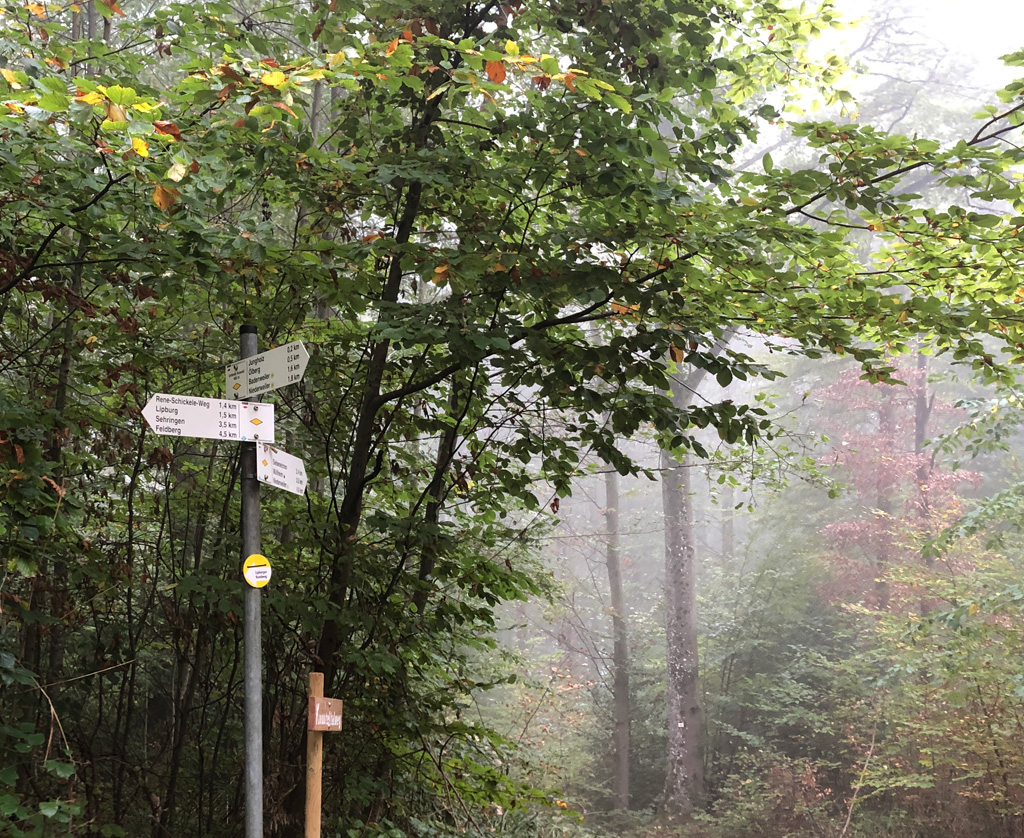 2022 10 19 mullheim img2