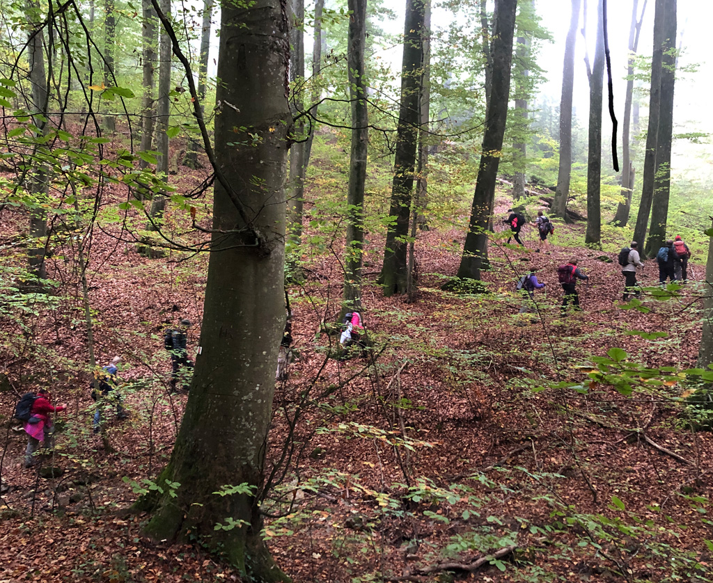 2022 10 19 mullheim img4