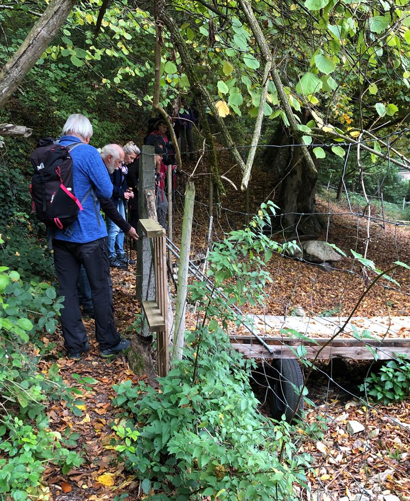 2022 10 19 mullheim img5
