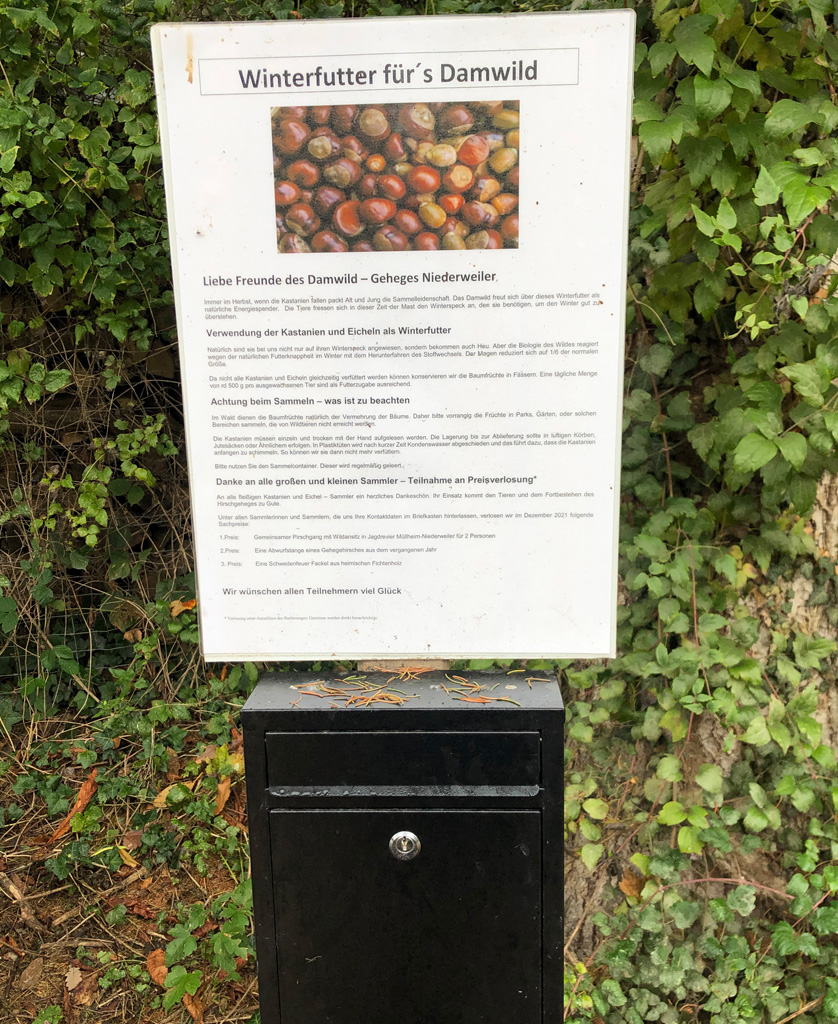 2022 10 19 mullheim img7
