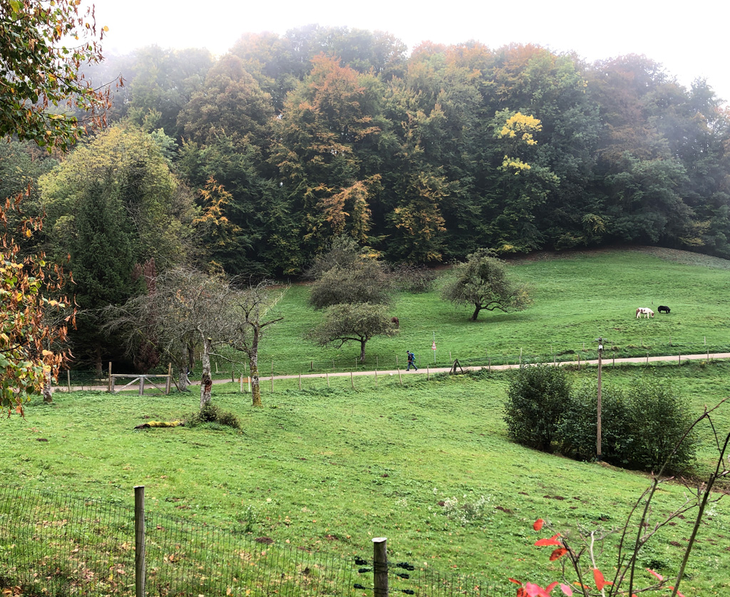 2022 10 19 mullheim img9