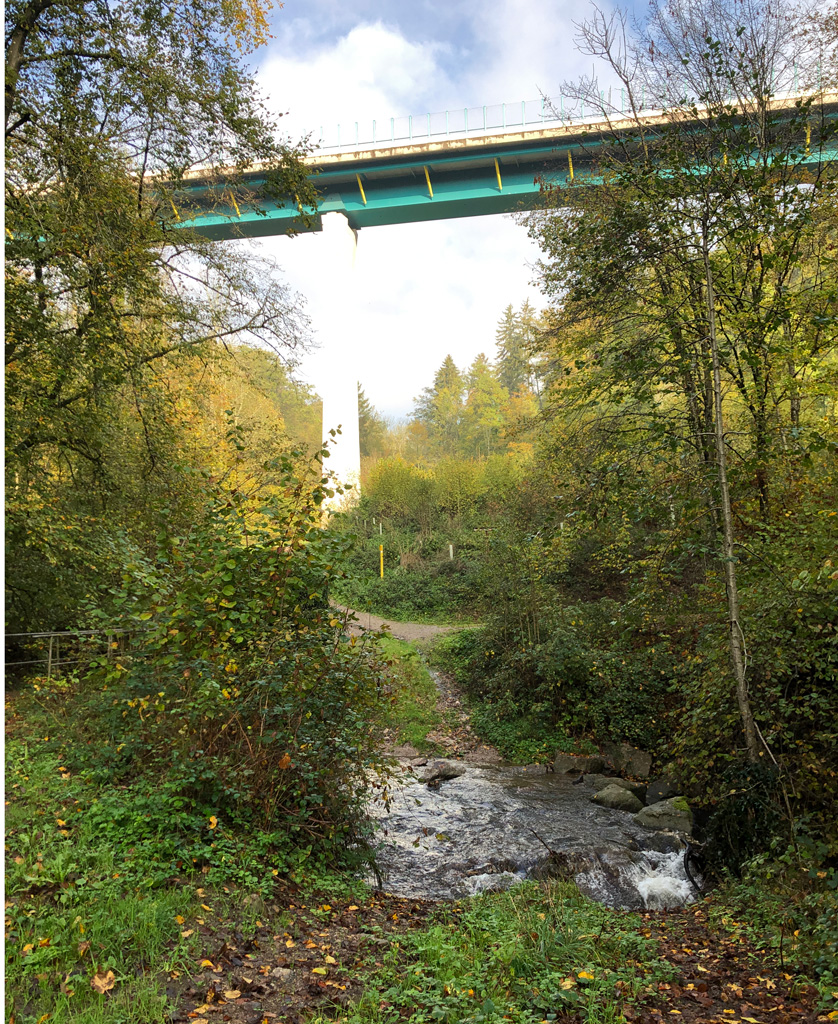 2022 10 26 laufenburg IMG 4