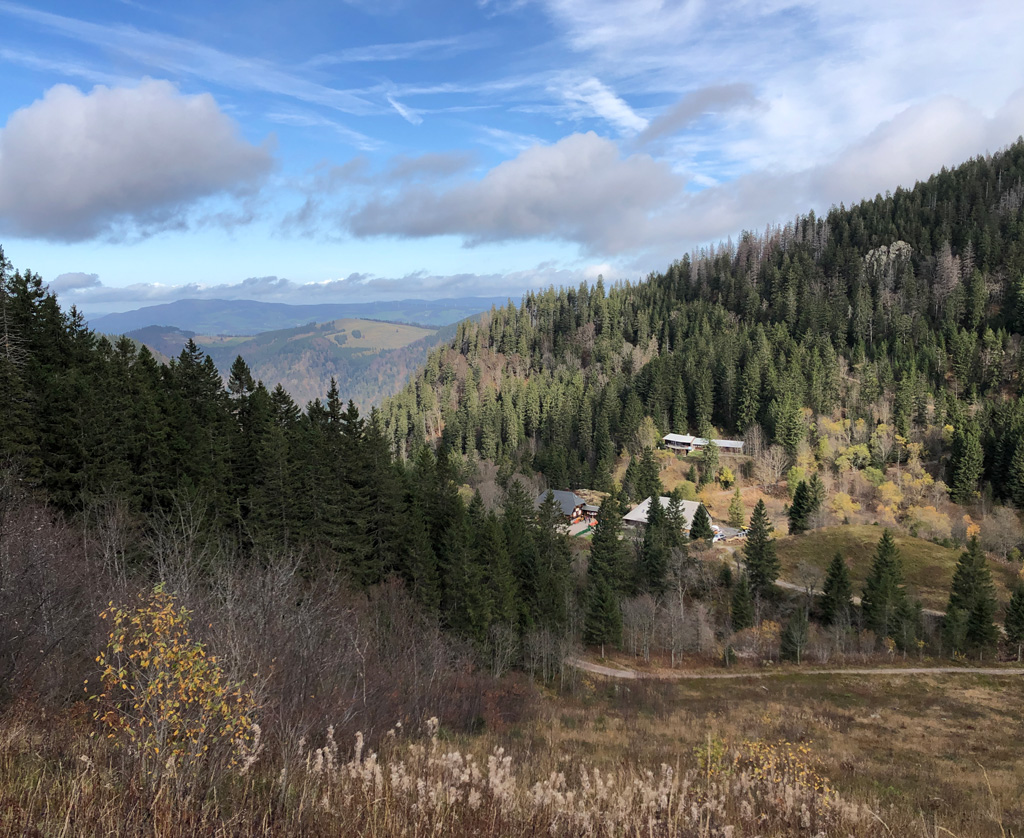 2022 11 02 feldberg img 13