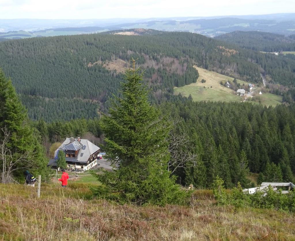 2022 11 02 feldberg img 14