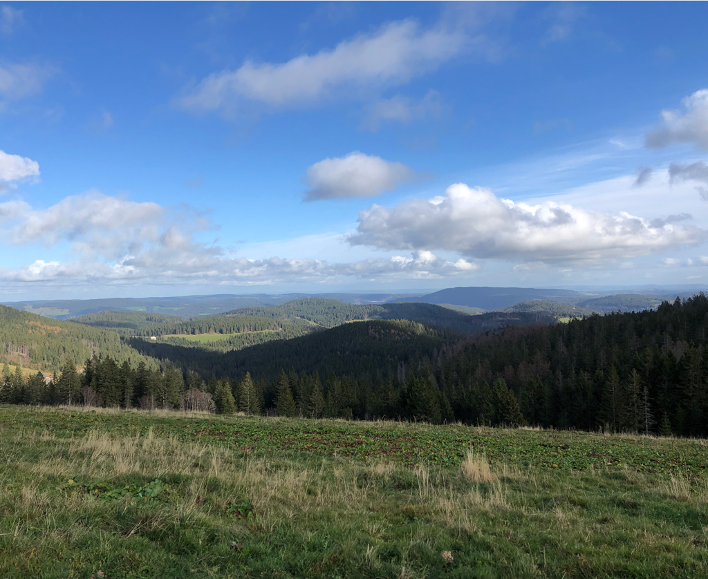 2022 11 02 feldberg img 18