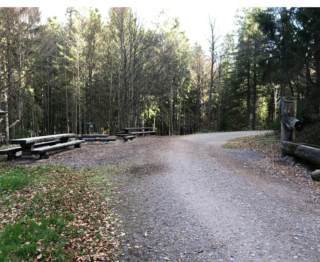 2022 11 02 feldberg img 19
