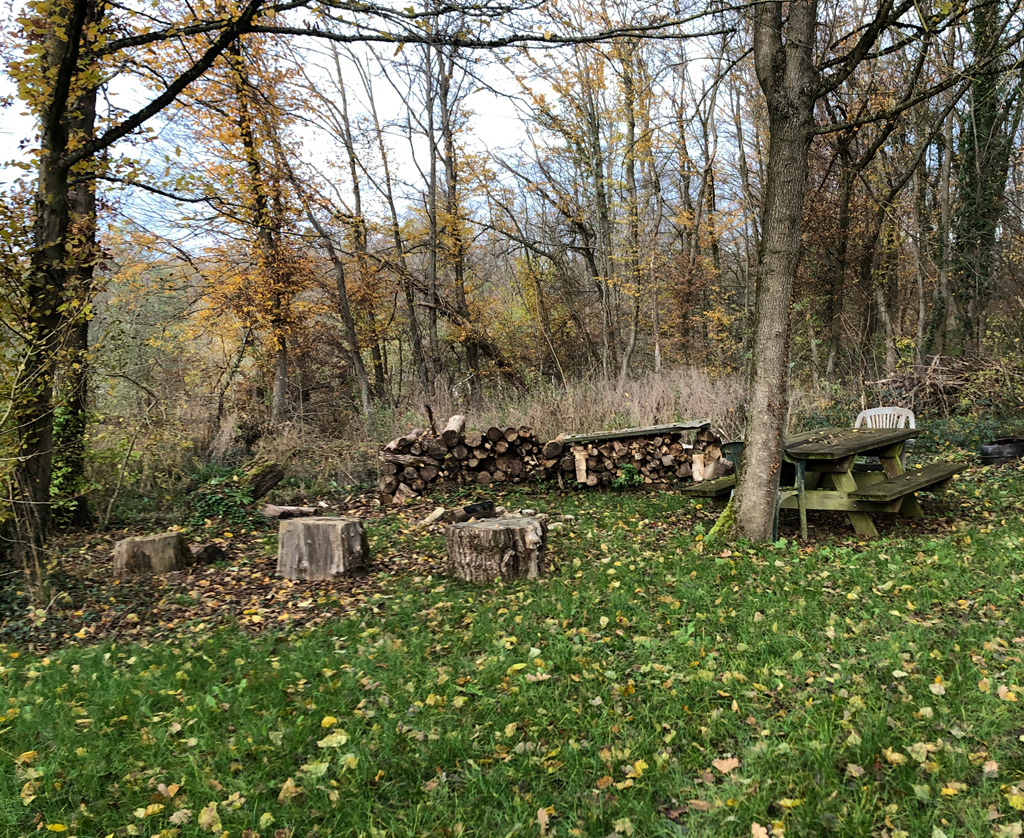 2022 11 23 habsheim img11