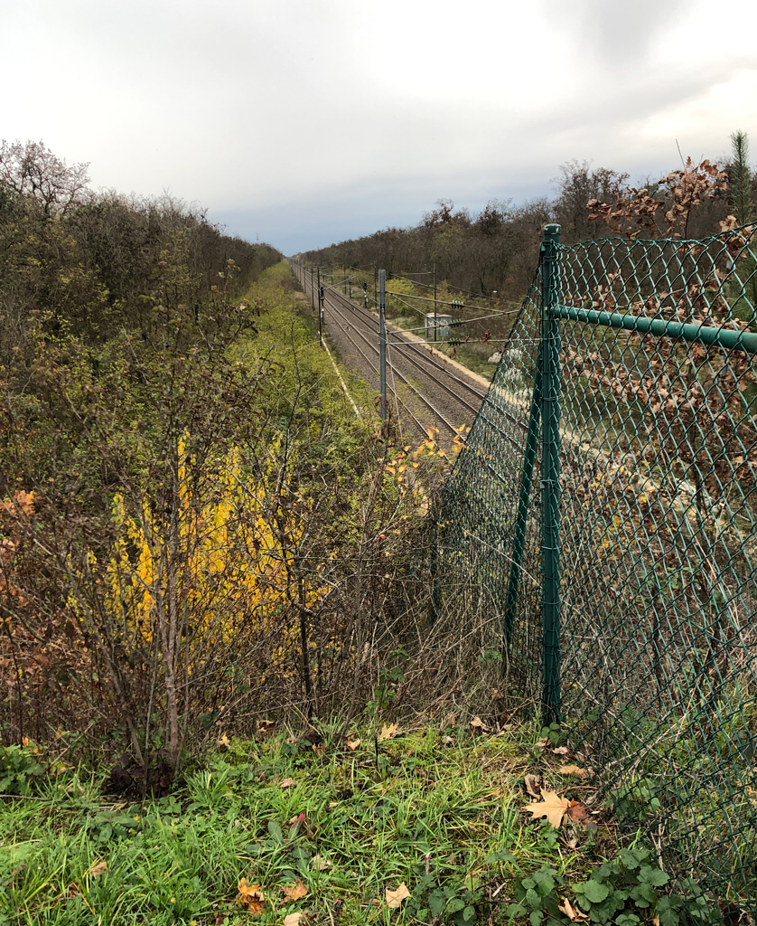 2022 11 23 habsheim img13