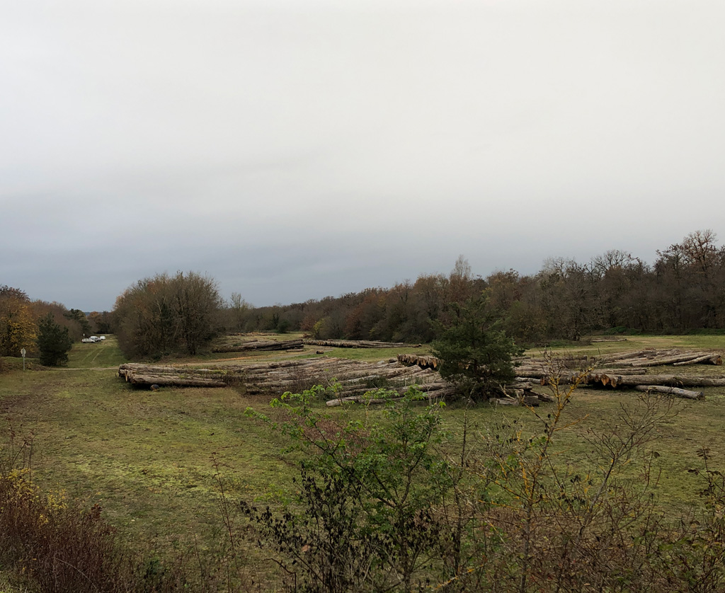 2022 11 23 habsheim img14