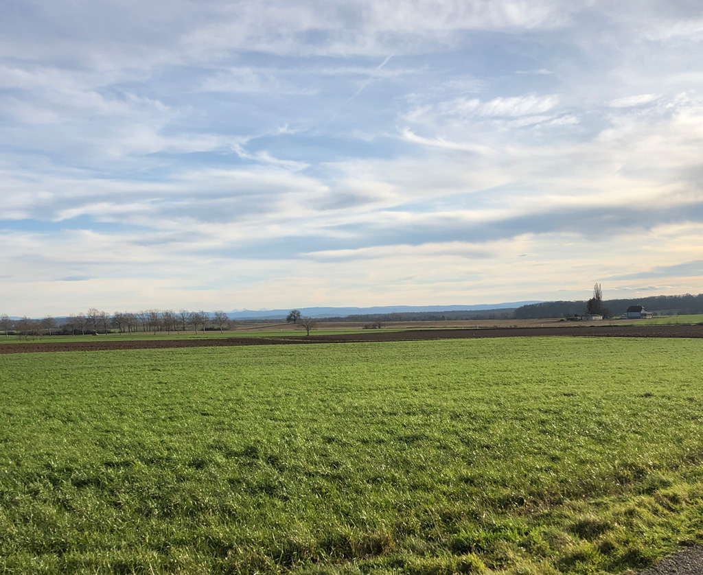 2022 12 28 oelenberg img10