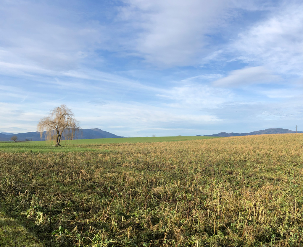 2022 12 28 oelenberg img2