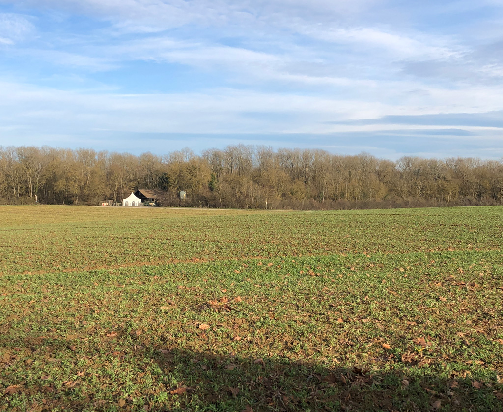 2022 12 28 oelenberg img5