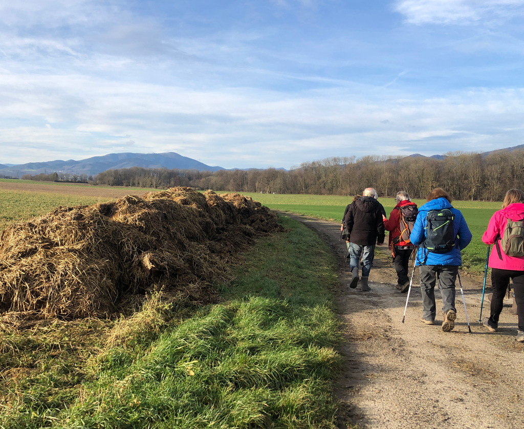 2022 12 28 oelenberg img6