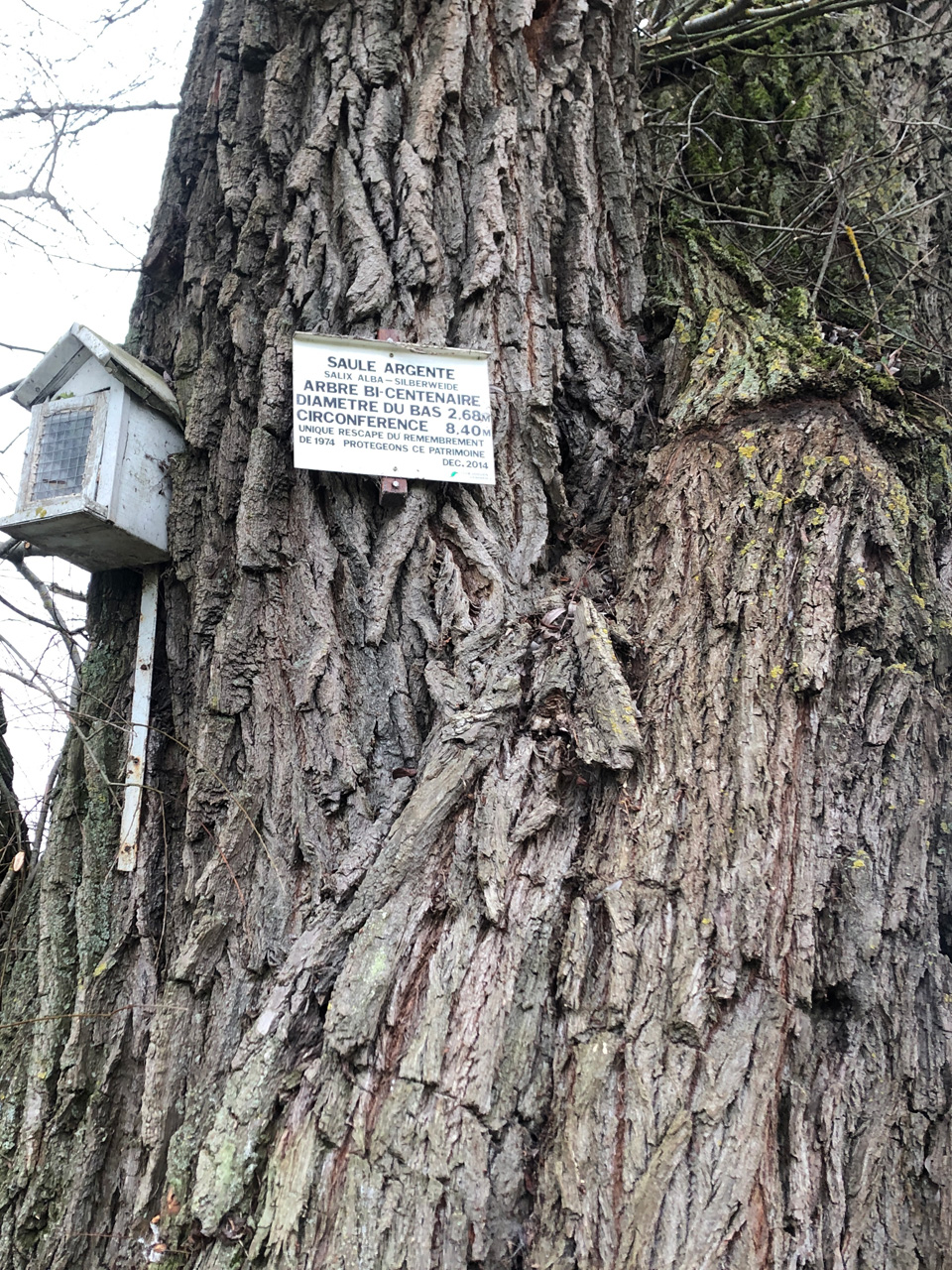 2023 01 04 Heimsbrunn img12