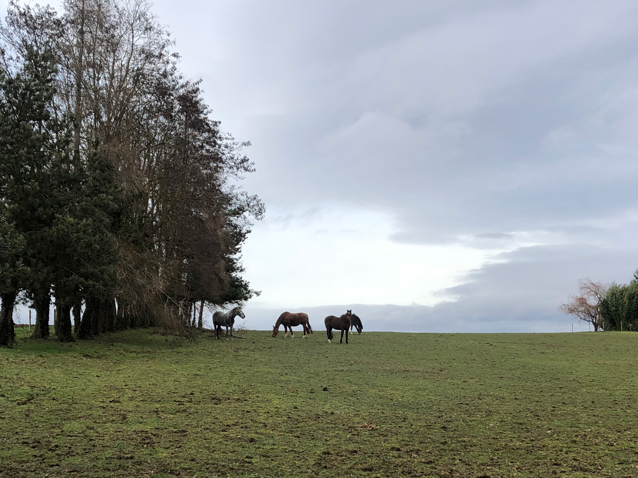 2023 01 04 Heimsbrunn img8