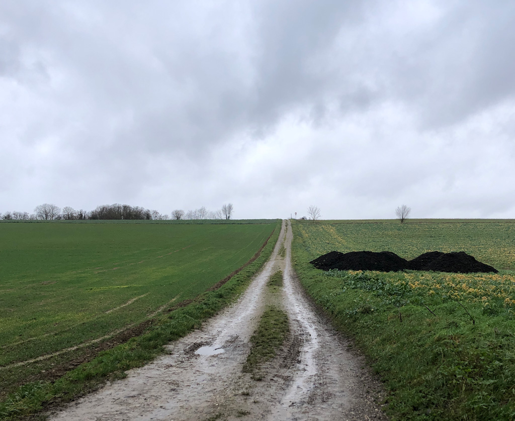 2023 01 11 bruebach img4