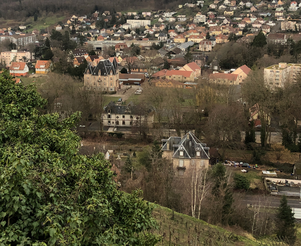 2023 02 01guebwiller img14