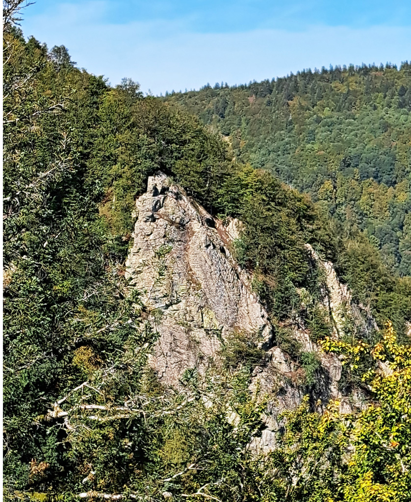 2023 09 27 rouge gazon img8 1