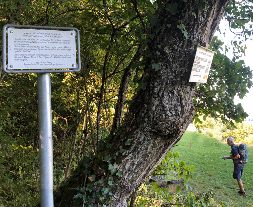 2023 10 11 wolschwiller img10