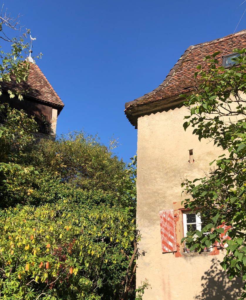 2023 10 11 wolschwiller img7
