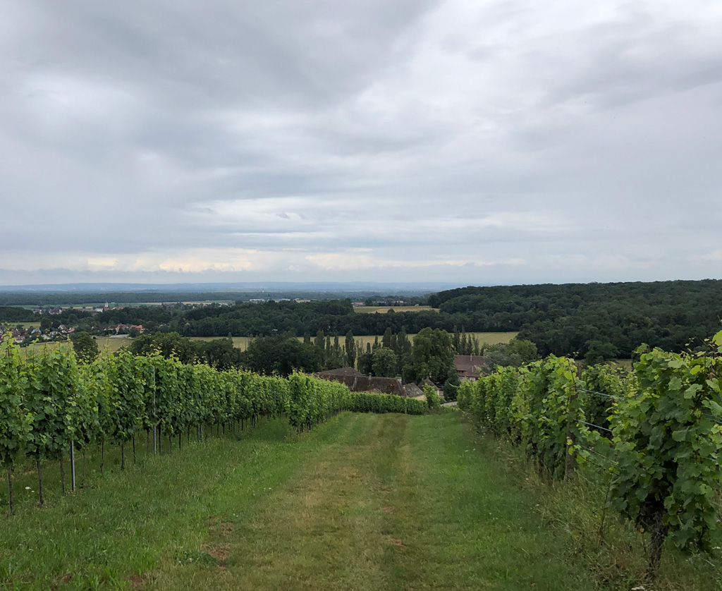 2024 07 03 wuenheim img1