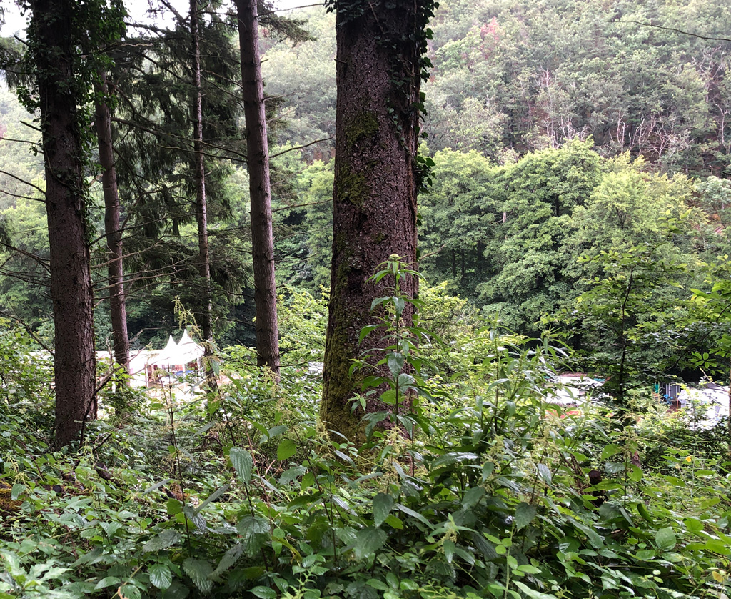 2024 07 03 wuenheim img10