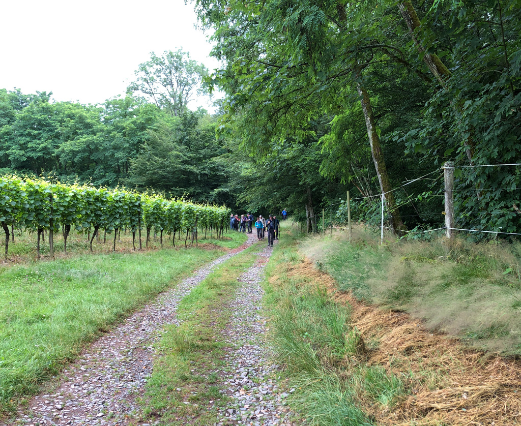 2024 07 03 wuenheim img2