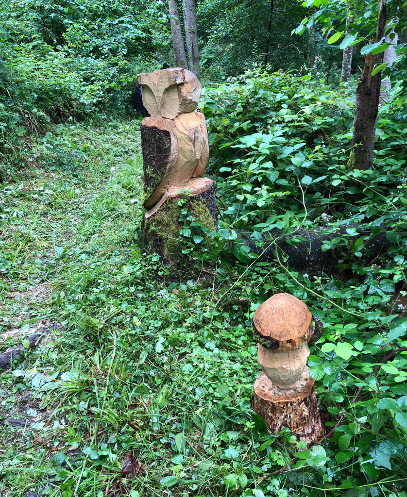 2024 07 03 wuenheim img6