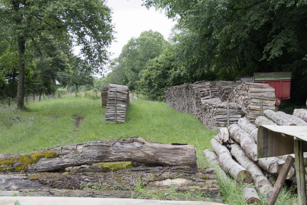 2024.07.03 Wuenheim 12