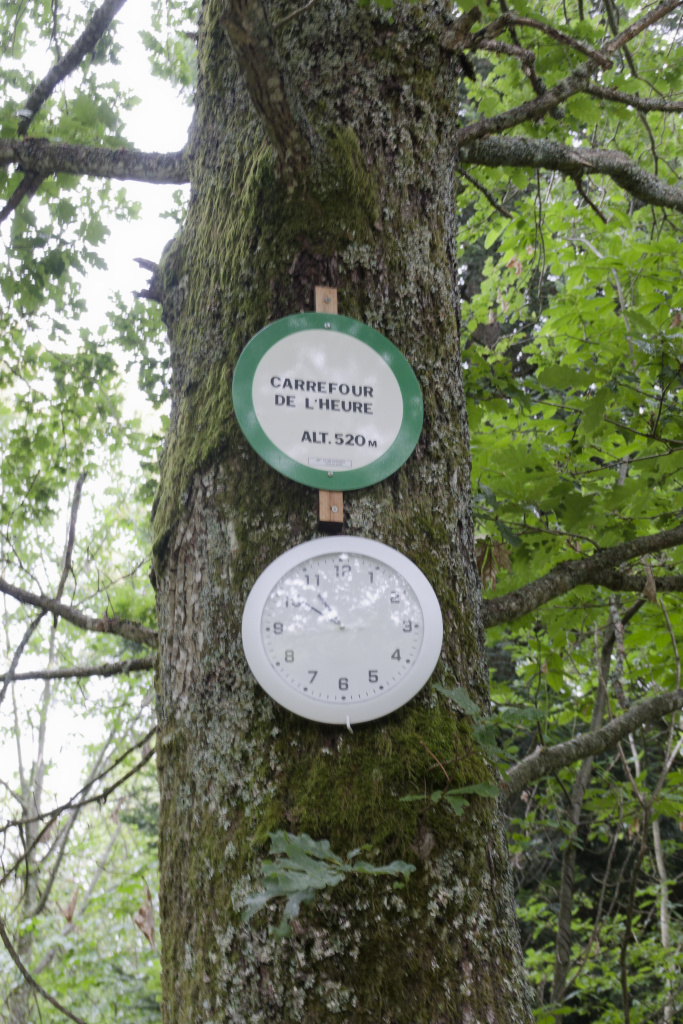 2024.07.03 Wuenheim 19