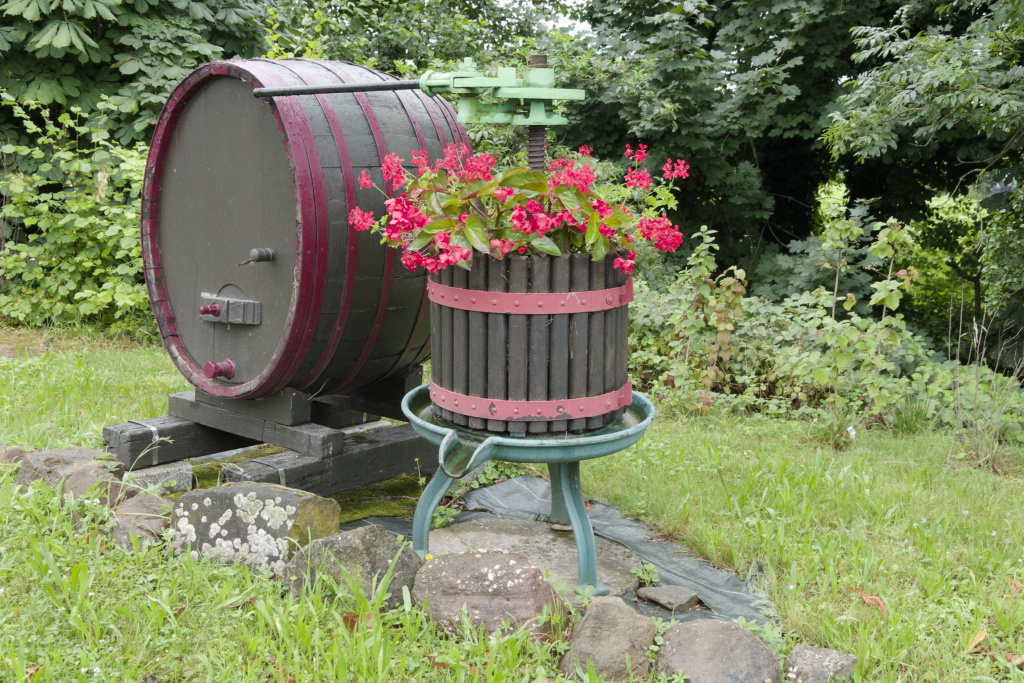 2024.07.03 Wuenheim 28