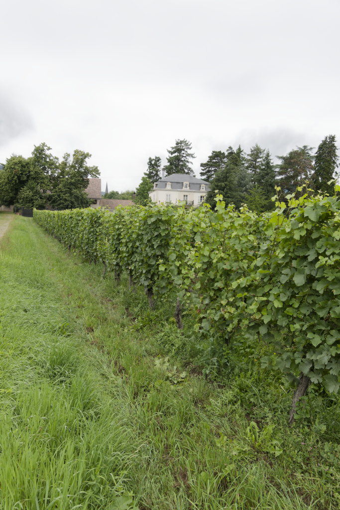 2024.07.03 Wuenheim 4