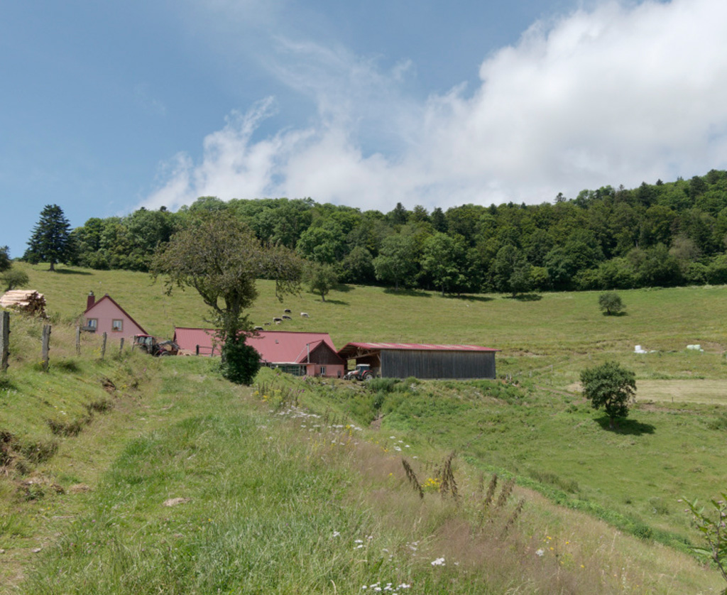 2024.07.10 Thierenbach 15
