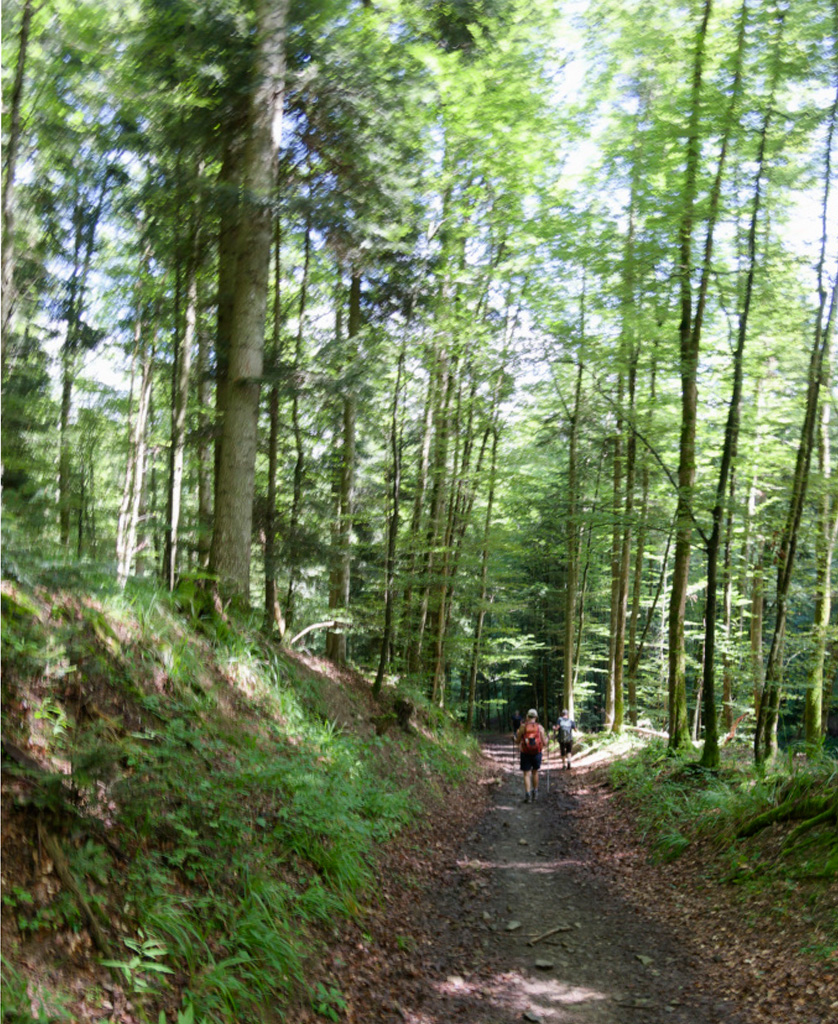 2024.07.10 Thierenbach 16