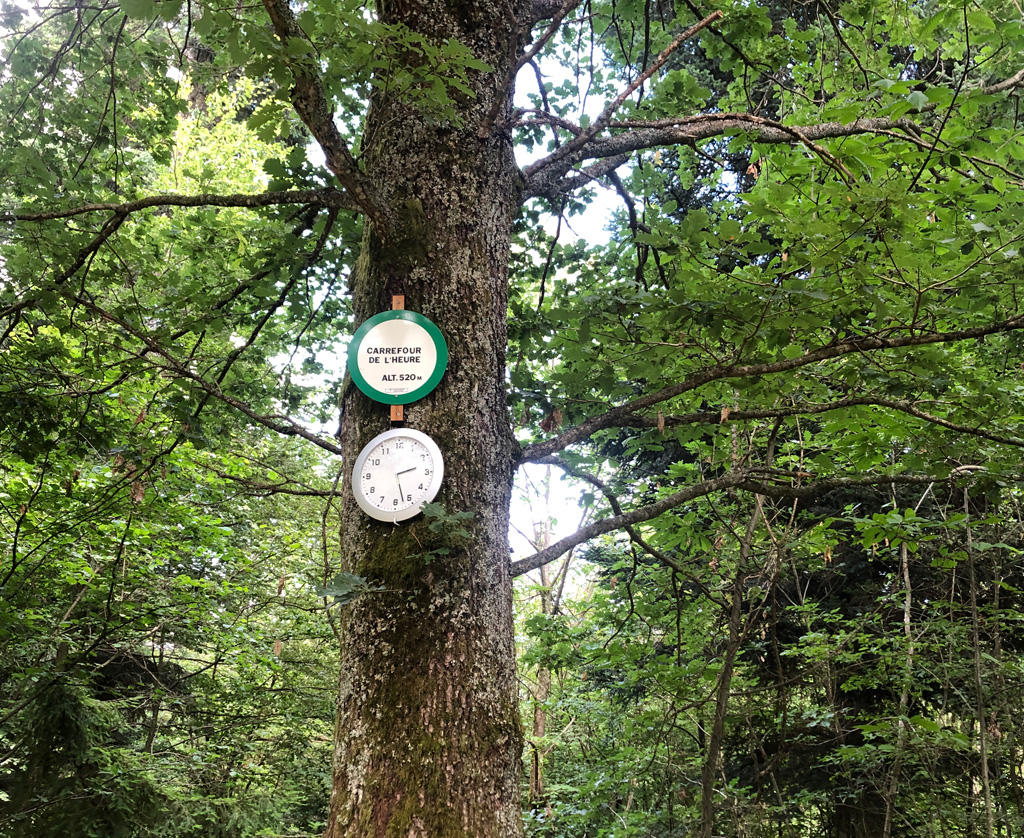 2024.07.10 Thierenbach 19