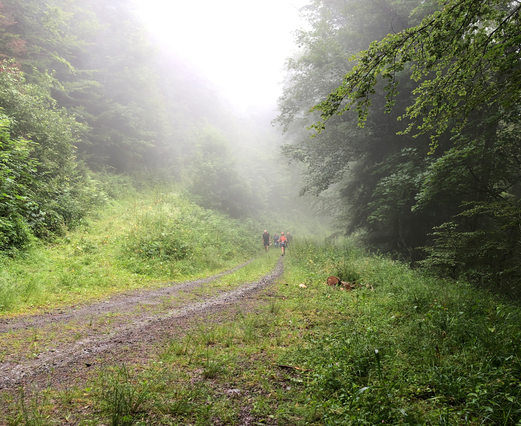 2024.07.10 Thierenbach 5