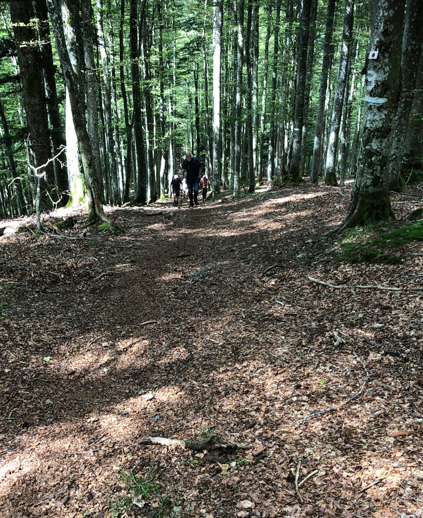 2024.07.17 Wildenstein cl3
